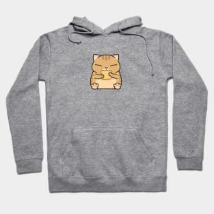 Ginger Chubby Cat Toast Hoodie